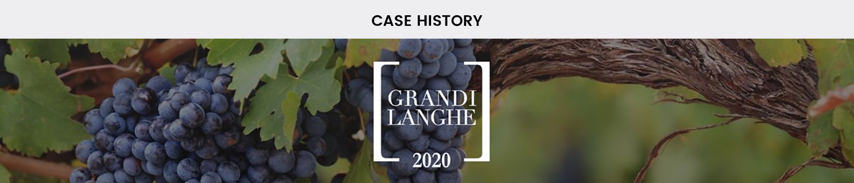 Clappit-Expo-Exhibitor-Case-History-Grandi-Langhe-Top-01