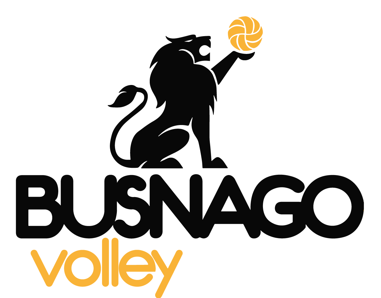 busnagovolley