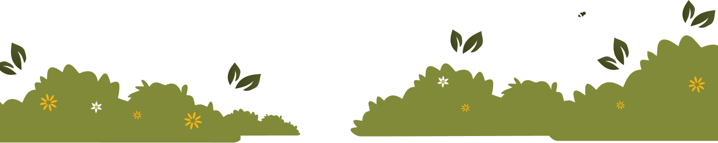 footer_top.png