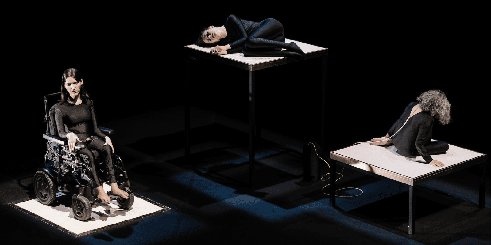 1600x800_chiara_bersani_michel_the_animals_i_am