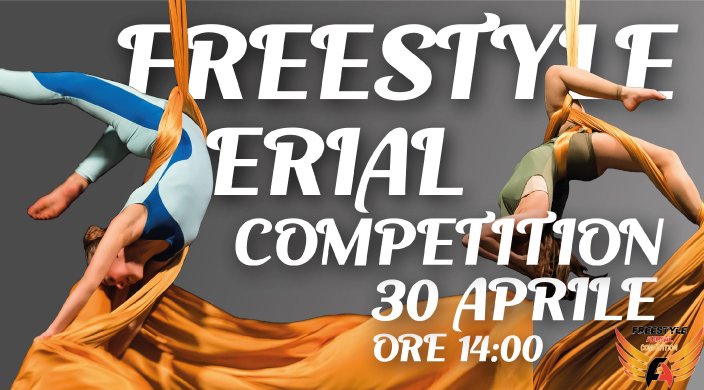 Freestyle Aerial Competition