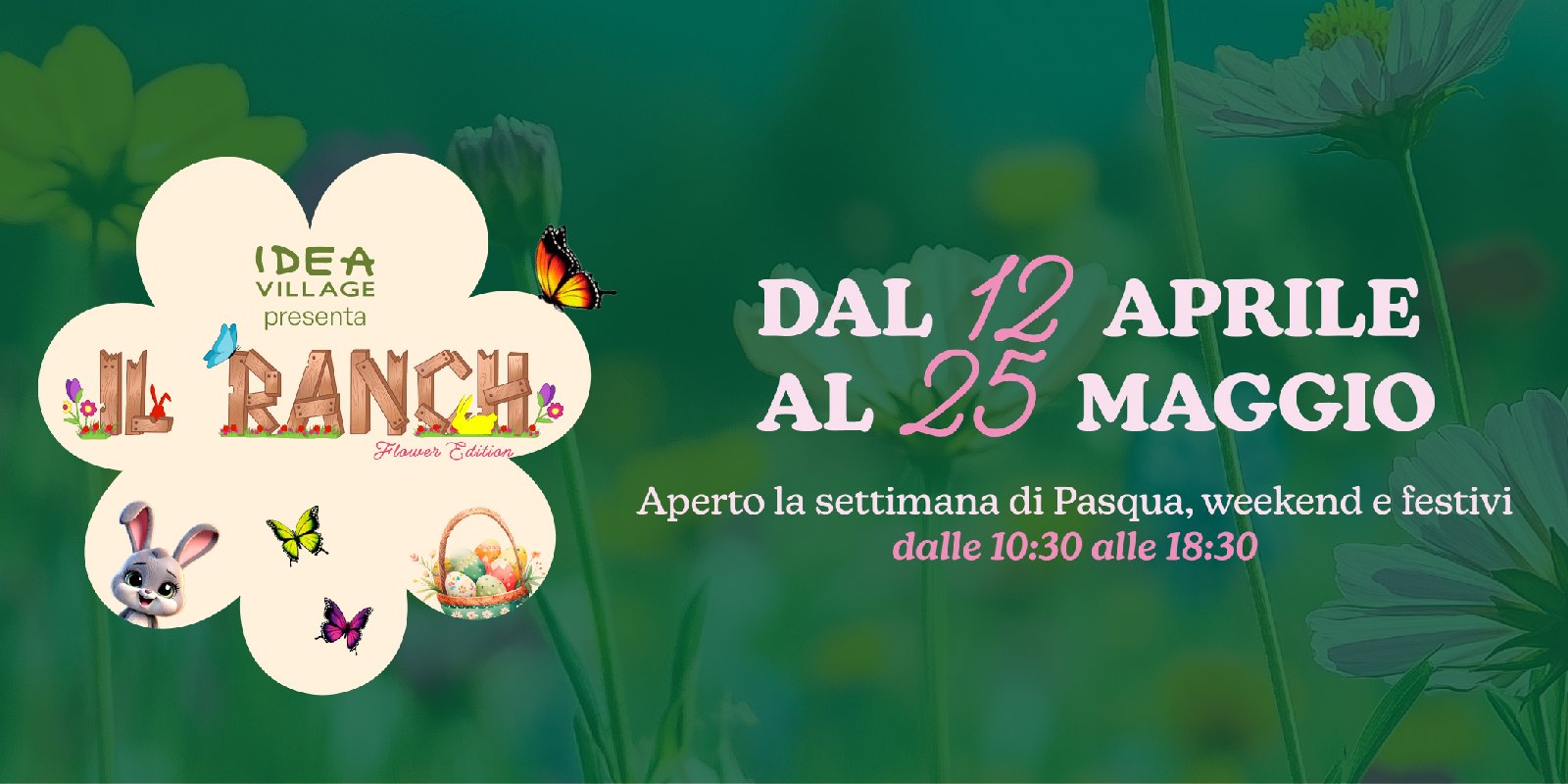 IL RANCH - Flower Edition
