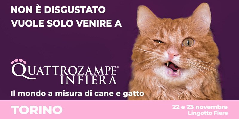 Quattrozampeinfiera - TORINO 2025