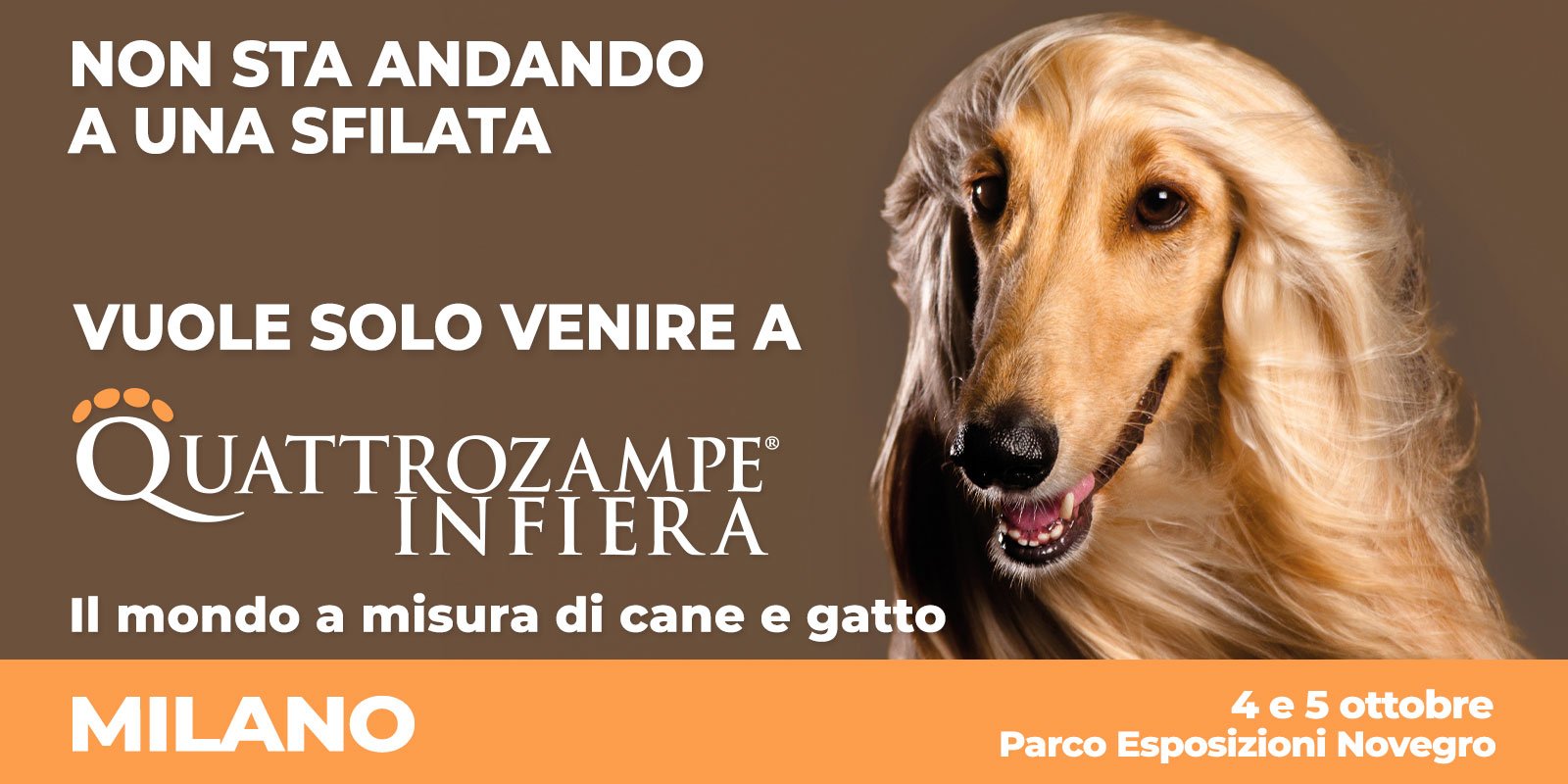 Quattrozampeinfiera - MILANO 2025