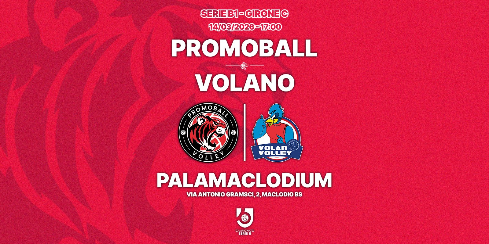 PROMOBALL SANITARS BS - ROTHOBLAAS VOLANO TN