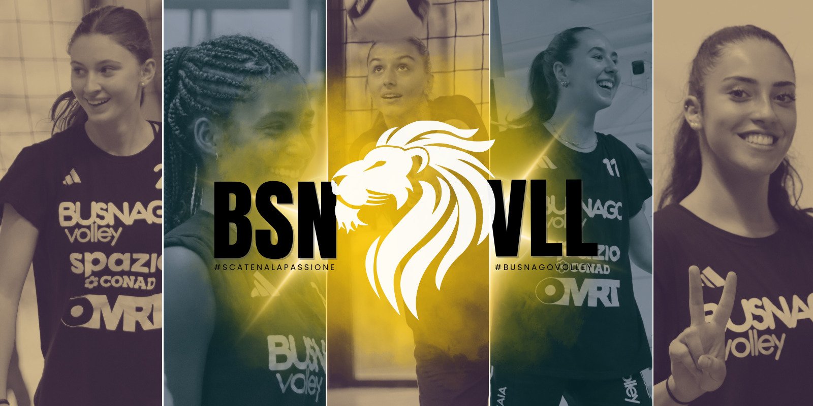 Vivi Energia Busnago Volley