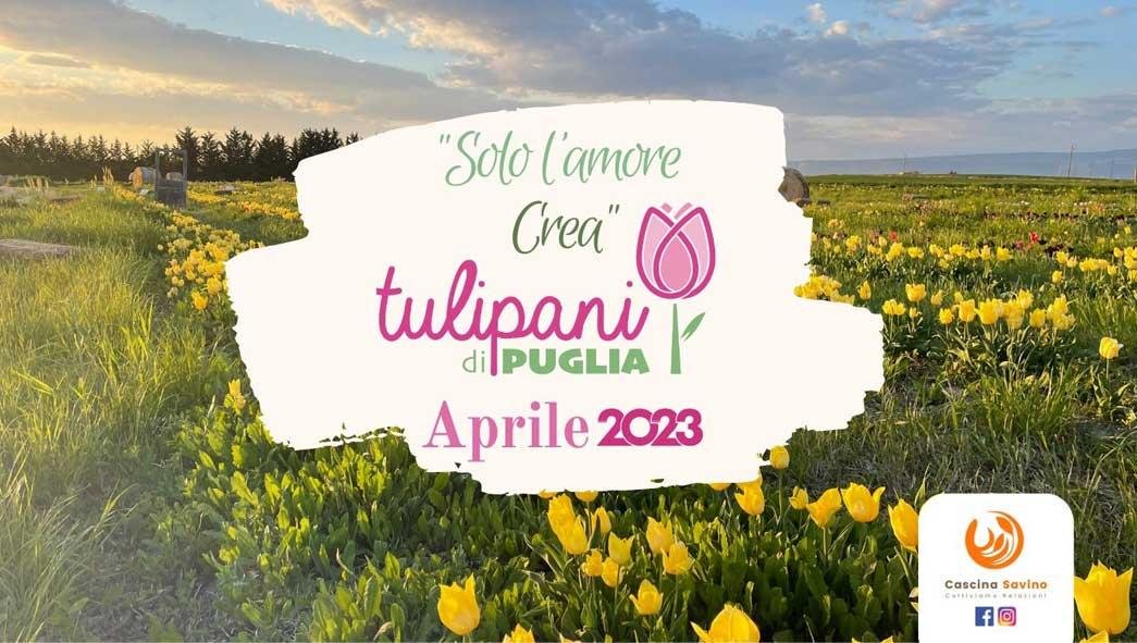 Clappit-eventi-Tulipani-di-Puglia-HP