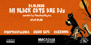 ALL BLACK CATS ARE DJs