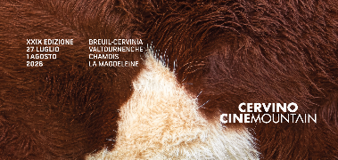 CHAMOIS