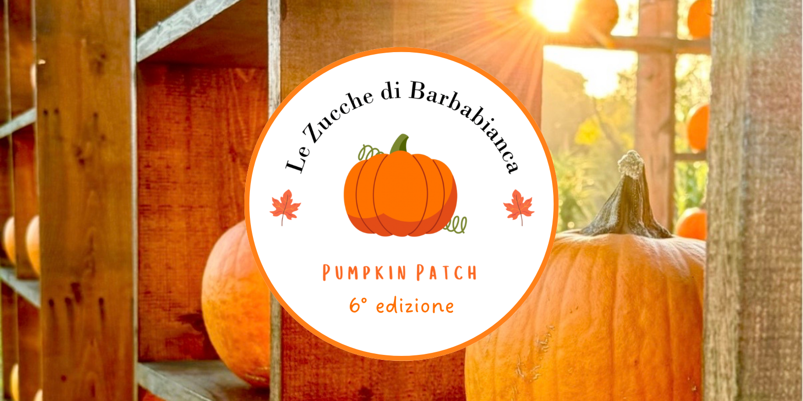 Le Zucche di Barbabianca | Ingresso