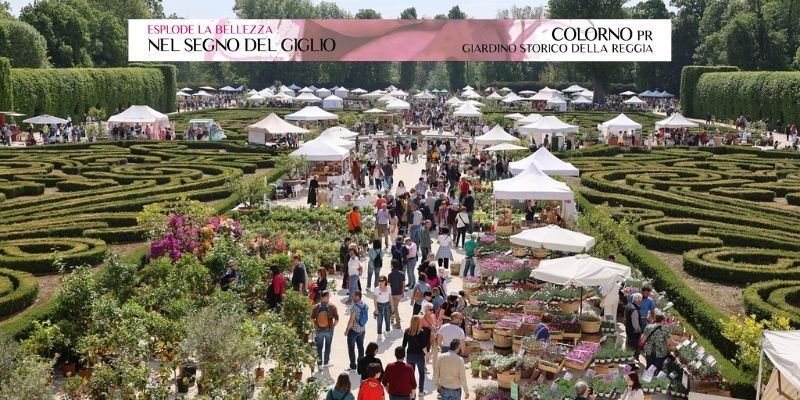 nel-segno-del-giglio-reggia-di-colornoTH