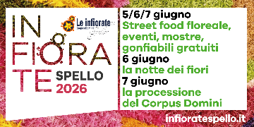 PARCHEGGI INFIORATE DI SPELLO