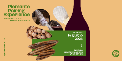 Piemonte Pairing Experience 2026