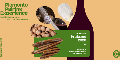 Piemonte Pairing Experience 2026