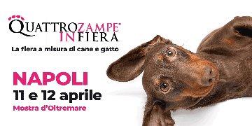 QUATTROZAMPEINFIERA - NAPOLI 2026