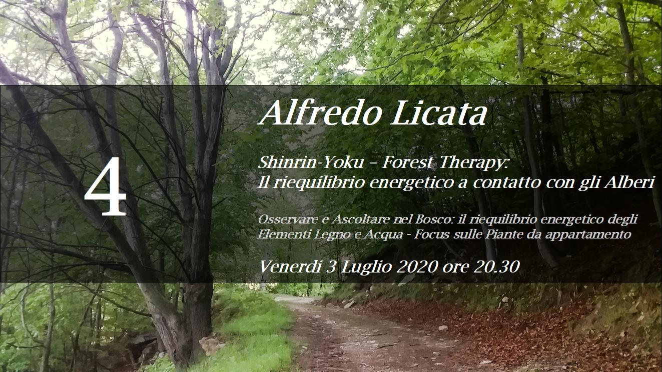 Shinrin Yoku – Forest Therapy: osservare e ascoltare nel Bosco