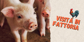 Visita in Fattoria